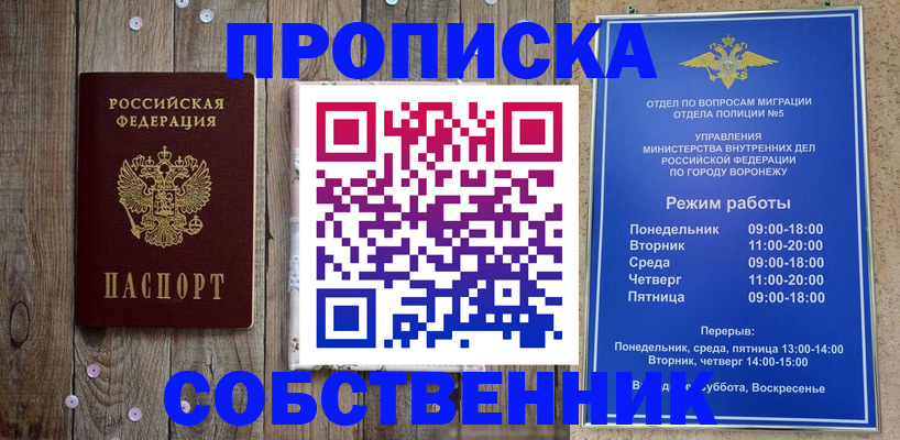прописка 2025 в Шебекино